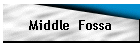 Middle  Fossa