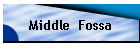 Middle  Fossa